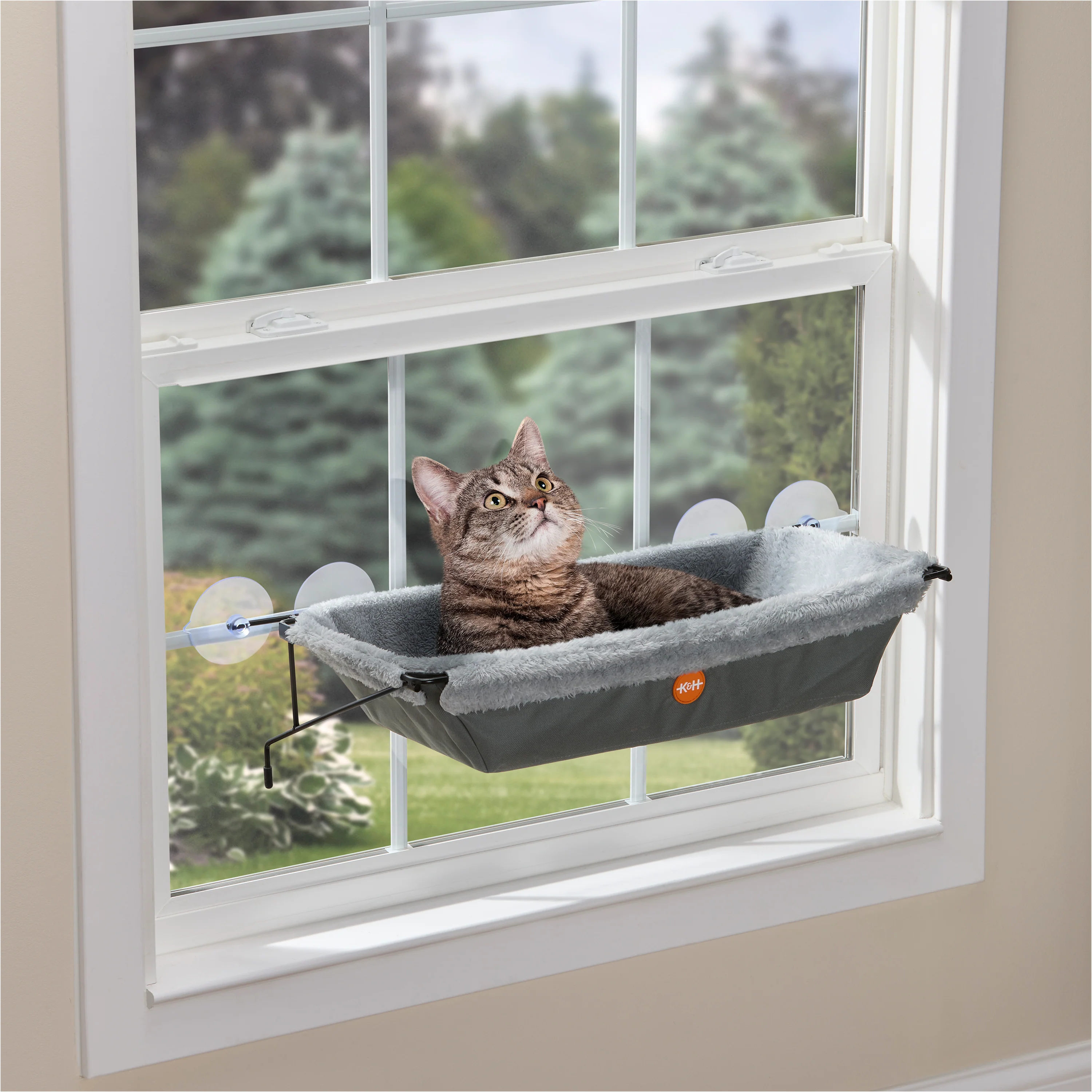 K&H Pet Products Hot New Releases
