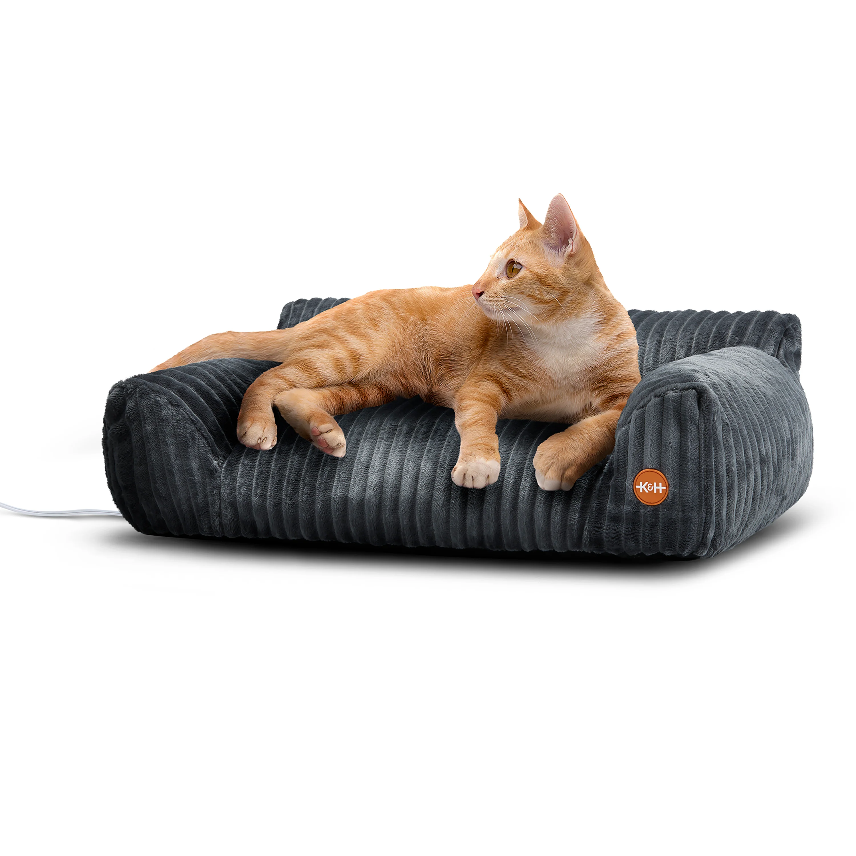 New Dog Products